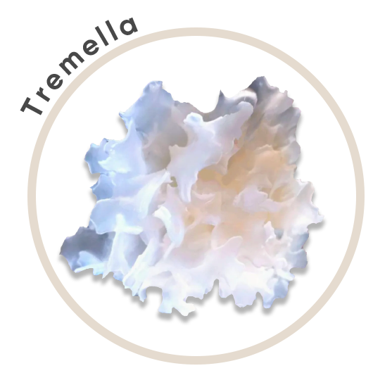 Tremella-Circle.png__PID:1a8267a4-de68-4e6b-aa6a-0169eeffcde2