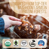 Ground Mushroom Coffee 12oz Bag Case-Of-12