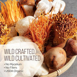 Black Tea with 7 Mushrooms (Instant) Case-Of-12