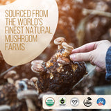 Decaf Mushroom Coffee 35 Serving (Instant) Case-Of-12