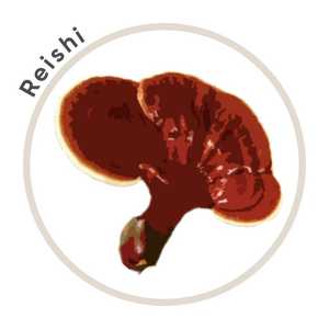 Reishi